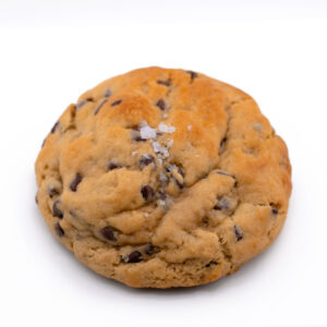 Vegan/Gluten Friendly Chocolate Chip